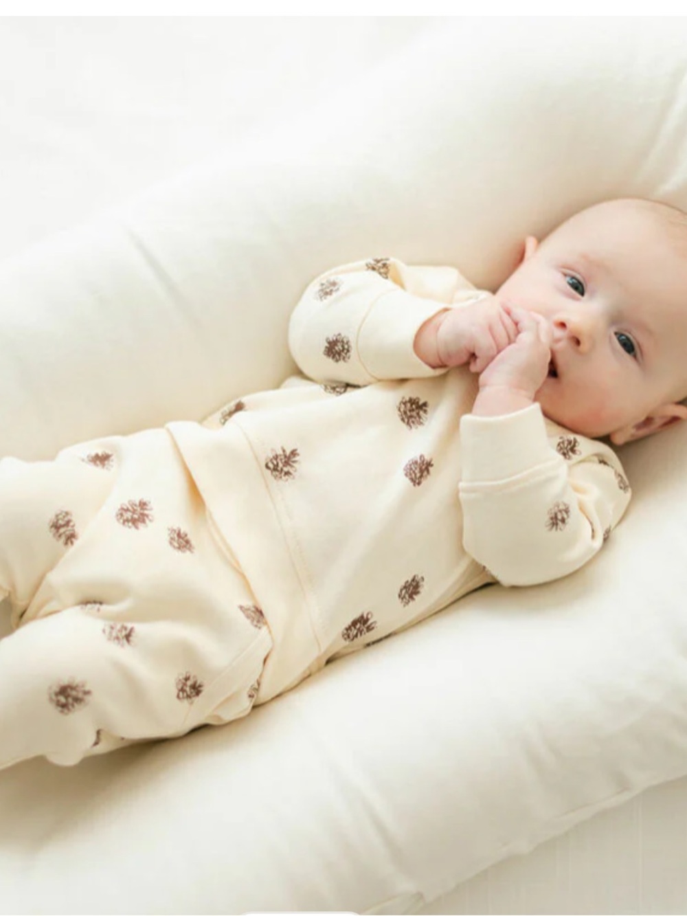 12-18m NWT L’ovedbaby Sweatshirt & Jogger Set- ButterCream - Picture 2 of 5